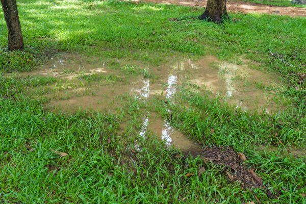 Cost of Storm Water Drainage Service in Pasadena
