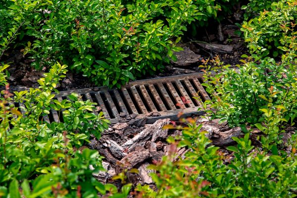 Cost of Underground Drainage Service in Pasadena