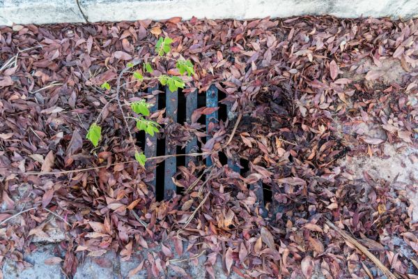 Cost of Yard Drain Unclogging in Pasadena