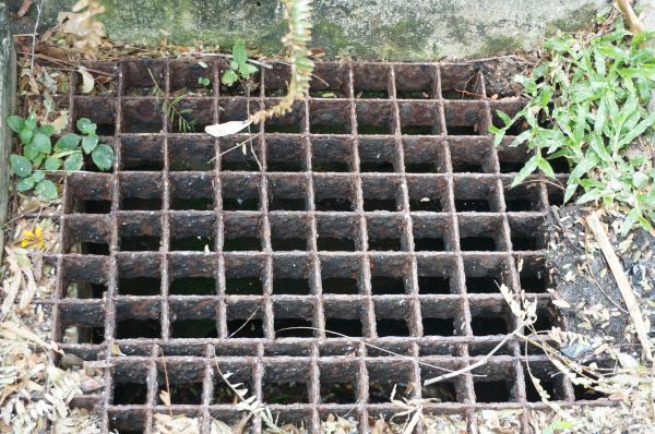 Cost of Yard Drain Cleaning in Pasadena