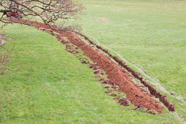 Cost of Swale Installation in Pasadena