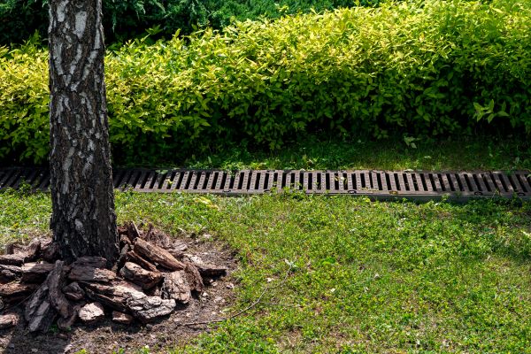 Cost of Garden Drainage Installation in Pasadena