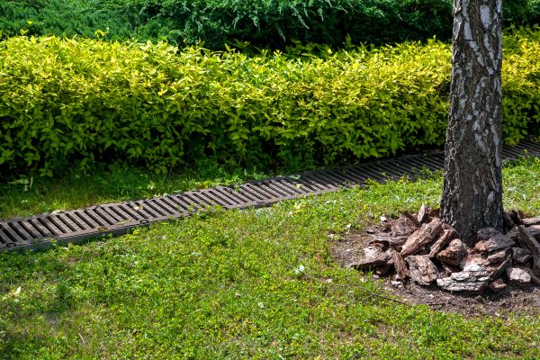 Cost of Residential Landscape Drainage in Pasadena