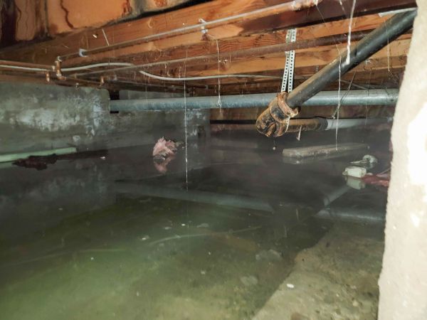 Cost of Crawlspace Drainage in Pasadena